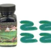 Noodlers Fountain Pen Ink Bottle - Bad Green Gator