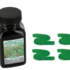 Noodlers Fountain Pen Ink Bottle - Greune Cactus